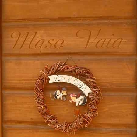 Maso Vaia Bed and Breakfast Cavalese Buitenkant foto