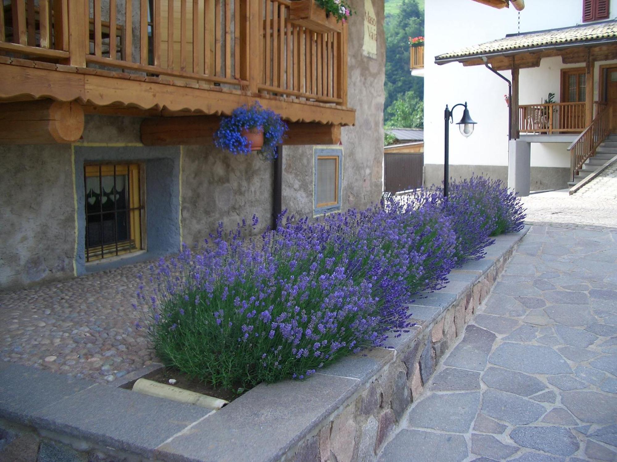 Maso Vaia Bed and Breakfast Cavalese Buitenkant foto